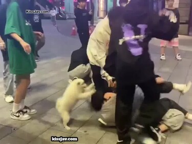 (한국야동) 일진년들 길거리 집단 난투극