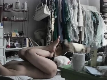 (한국야동) 자취녀들이 강아지를 키우는 이유