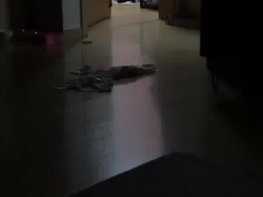 (한국야동) 집에서 편하게 지내는 여동생들 확장판